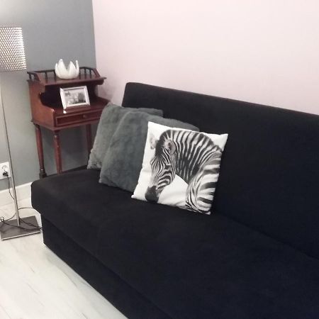 Vintage - Rose Apartament Торунь Екстер'єр фото