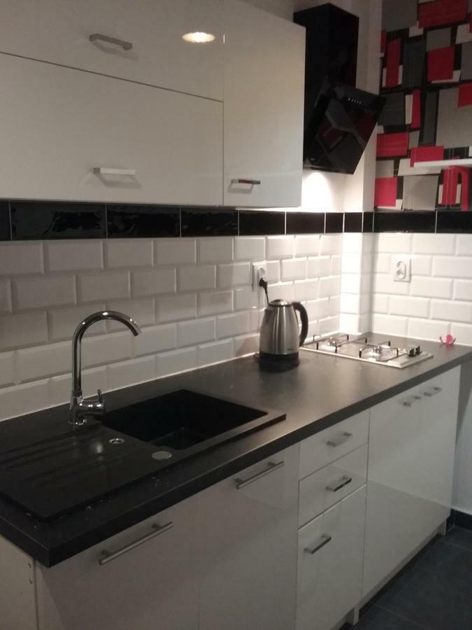 Vintage - Rose Apartament Торунь Екстер'єр фото