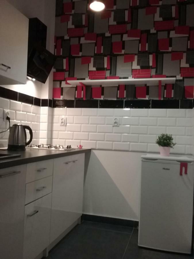 Vintage - Rose Apartament Торунь Екстер'єр фото