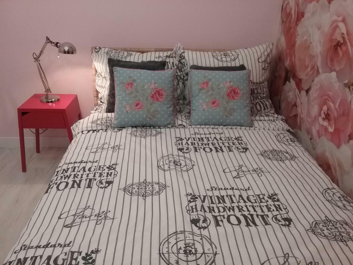 Vintage - Rose Apartament Торунь Екстер'єр фото