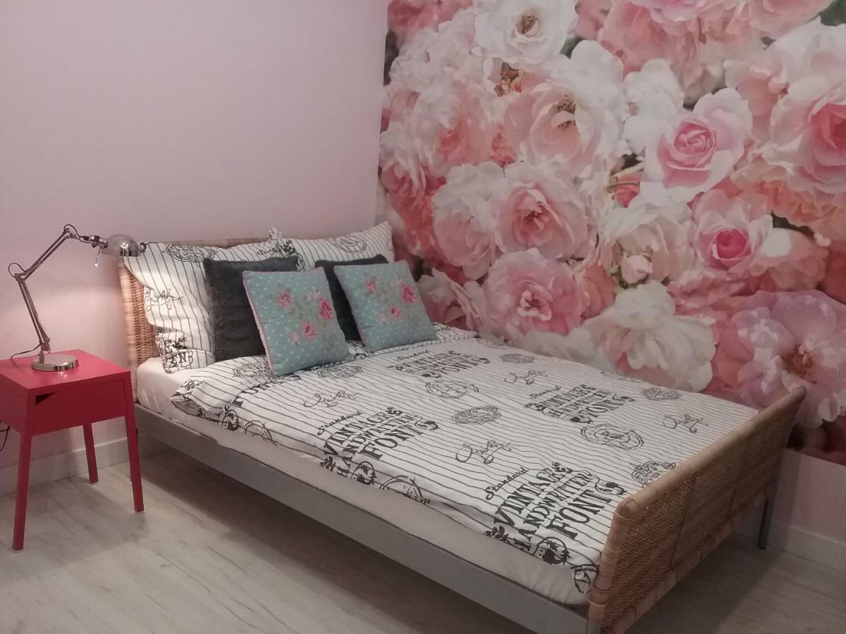 Vintage - Rose Apartament Торунь Екстер'єр фото