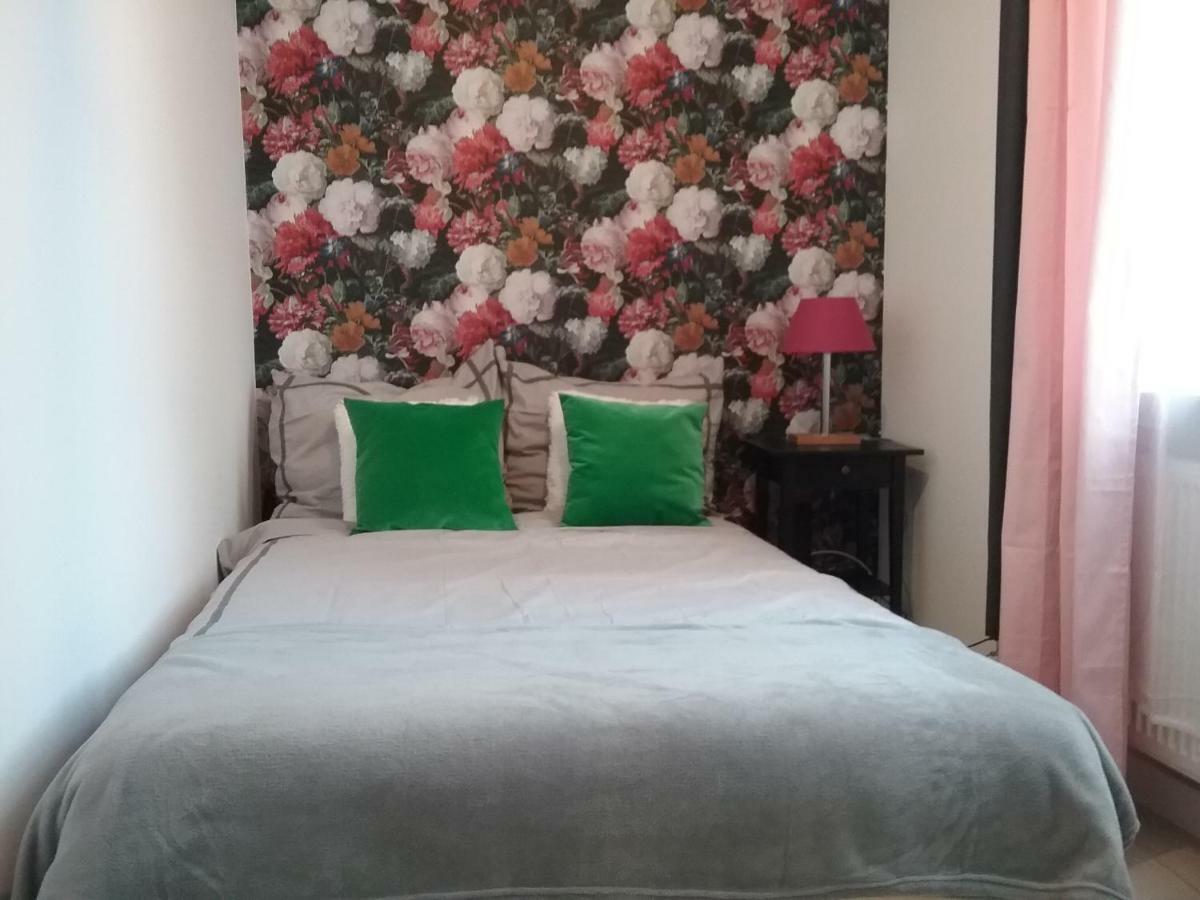 Vintage - Rose Apartament Торунь Екстер'єр фото
