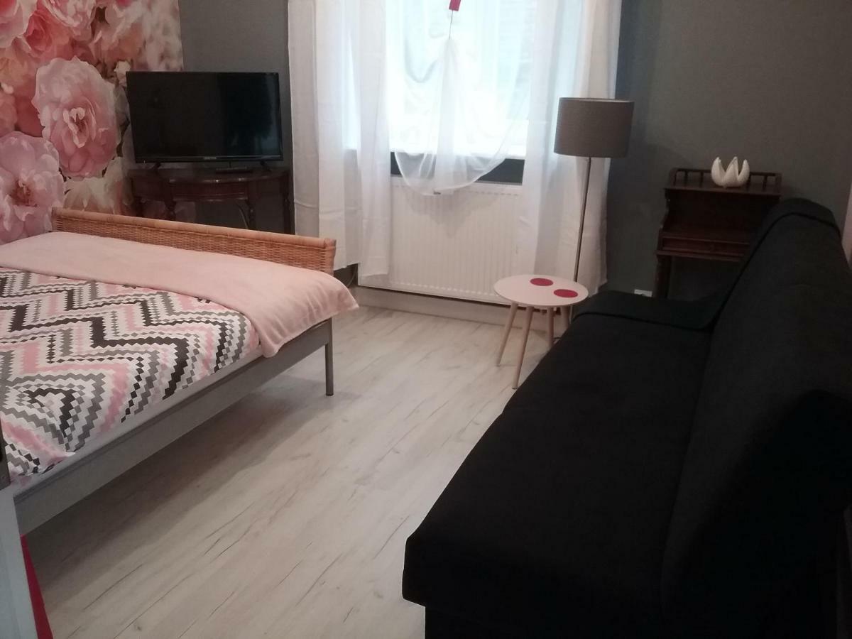 Vintage - Rose Apartament Торунь Екстер'єр фото